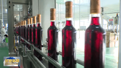 【視頻】高臺(tái):力促工業(yè)經(jīng)濟(jì)提質(zhì)增效